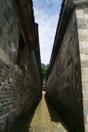 你要走的路